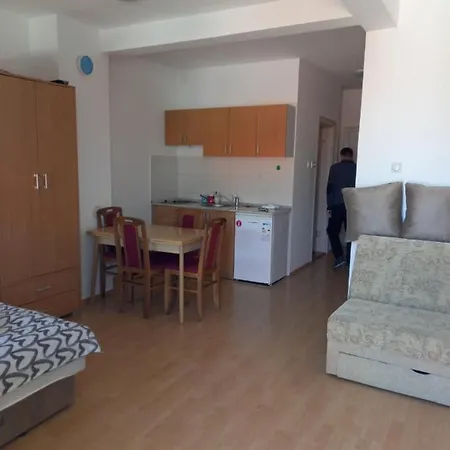 Smestaj Voli - Borici Studio-apartman, Apartamento Soko Banja