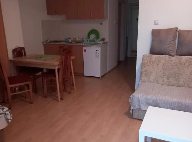 Smestaj Voli - Borici Studio-apartman, Apartamento Soko Banja